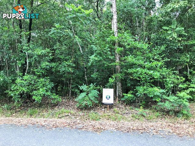 Lot 176 Quandong Road, Cow Bay DAINTREE QLD 4873