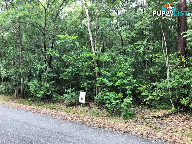 Lot 176 Quandong Road, Cow Bay DAINTREE QLD 4873