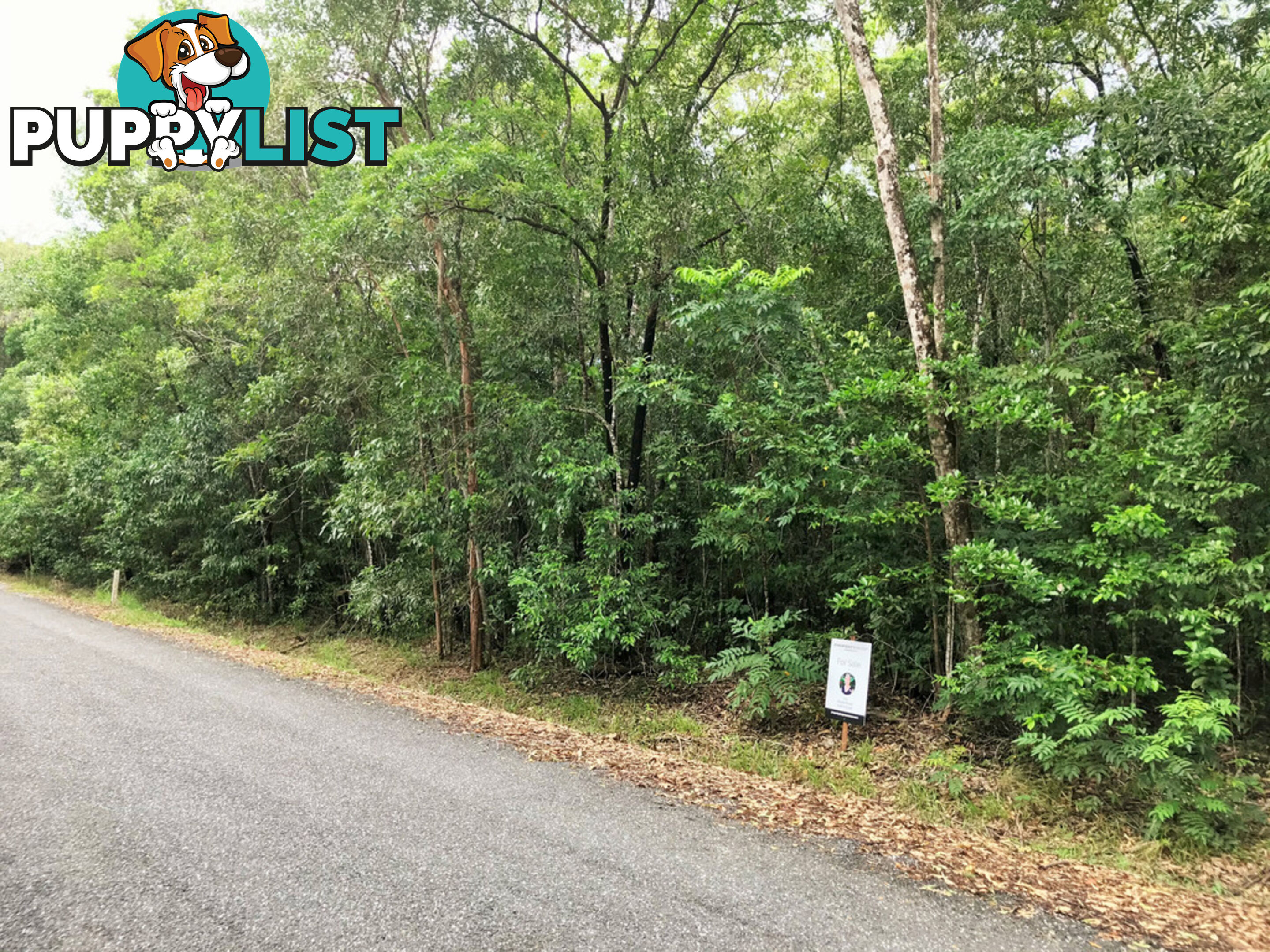 Lot 176 Quandong Road, Cow Bay DAINTREE QLD 4873