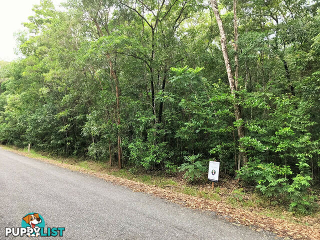 Lot 176 Quandong Road, Cow Bay DAINTREE QLD 4873