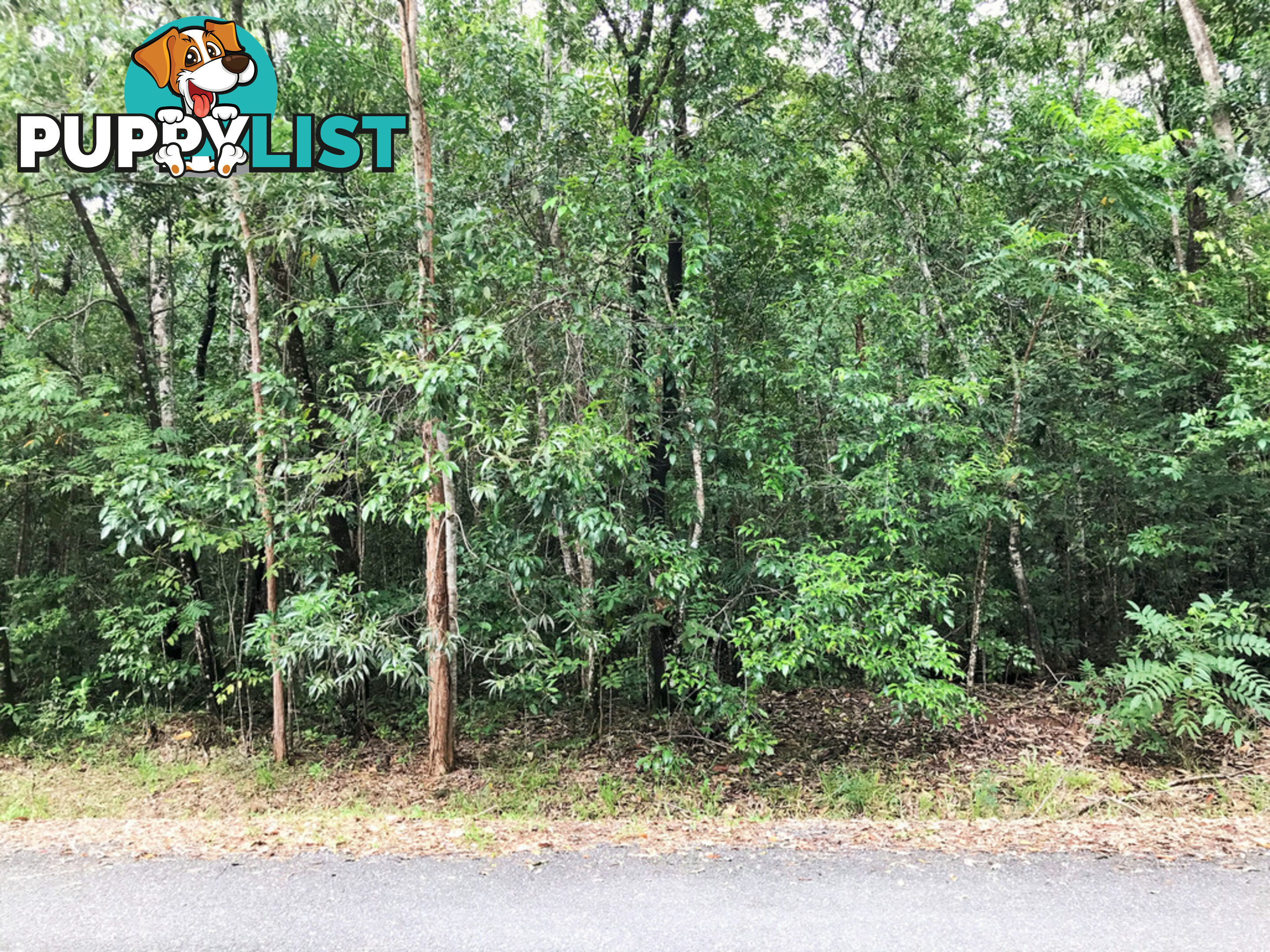 Lot 176 Quandong Road, Cow Bay DAINTREE QLD 4873