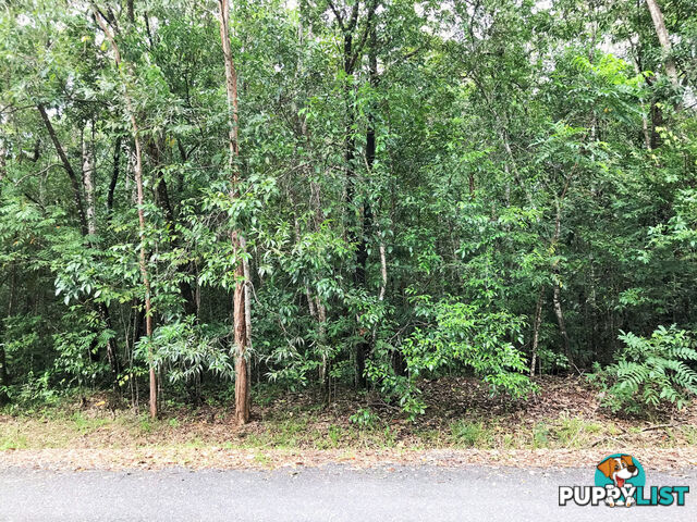 Lot 176 Quandong Road, Cow Bay DAINTREE QLD 4873