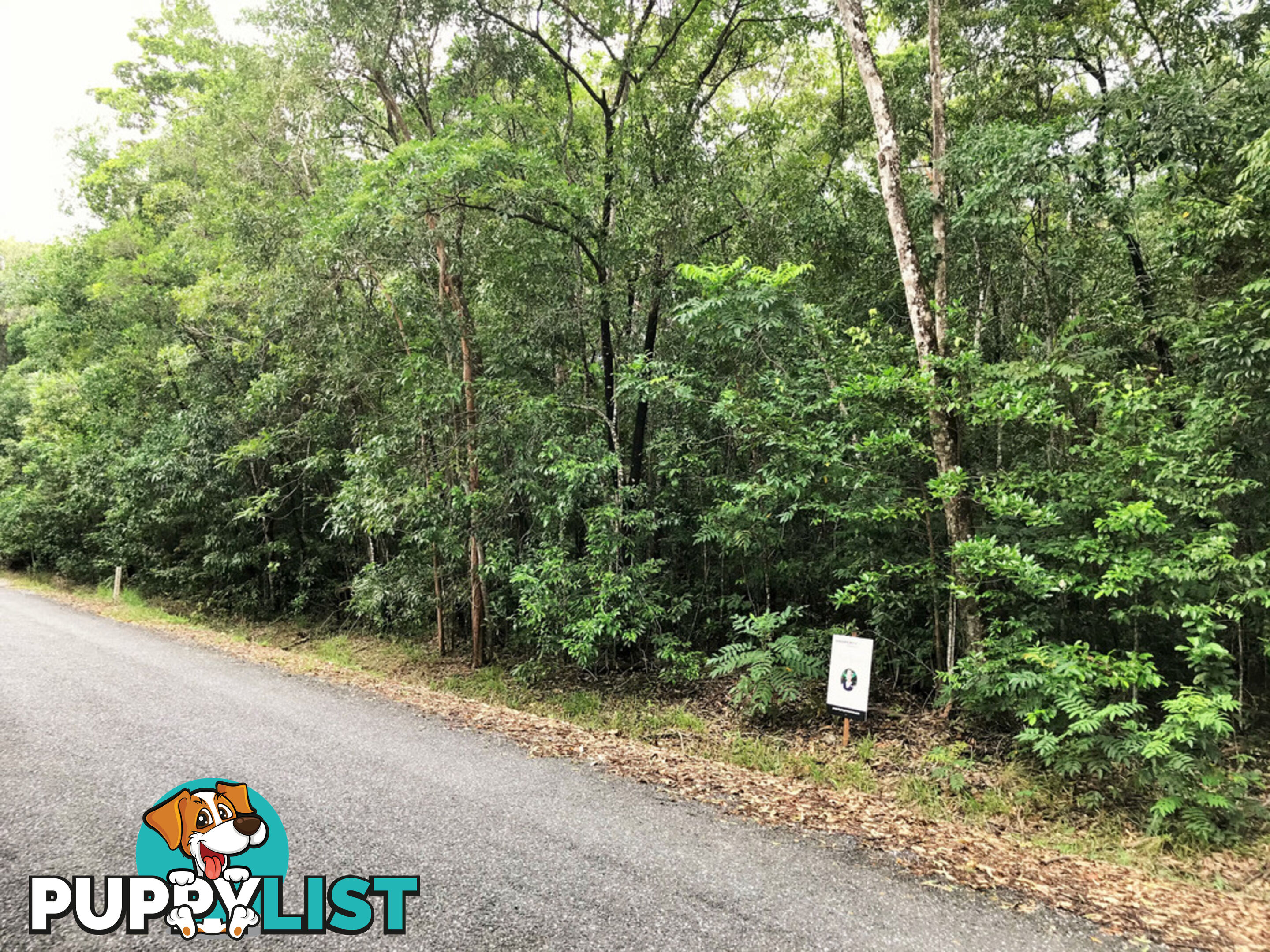 Lot 176 Quandong Road, Cow Bay DAINTREE QLD 4873