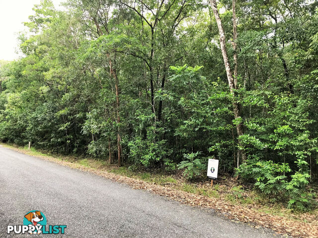 Lot 176 Quandong Road, Cow Bay DAINTREE QLD 4873