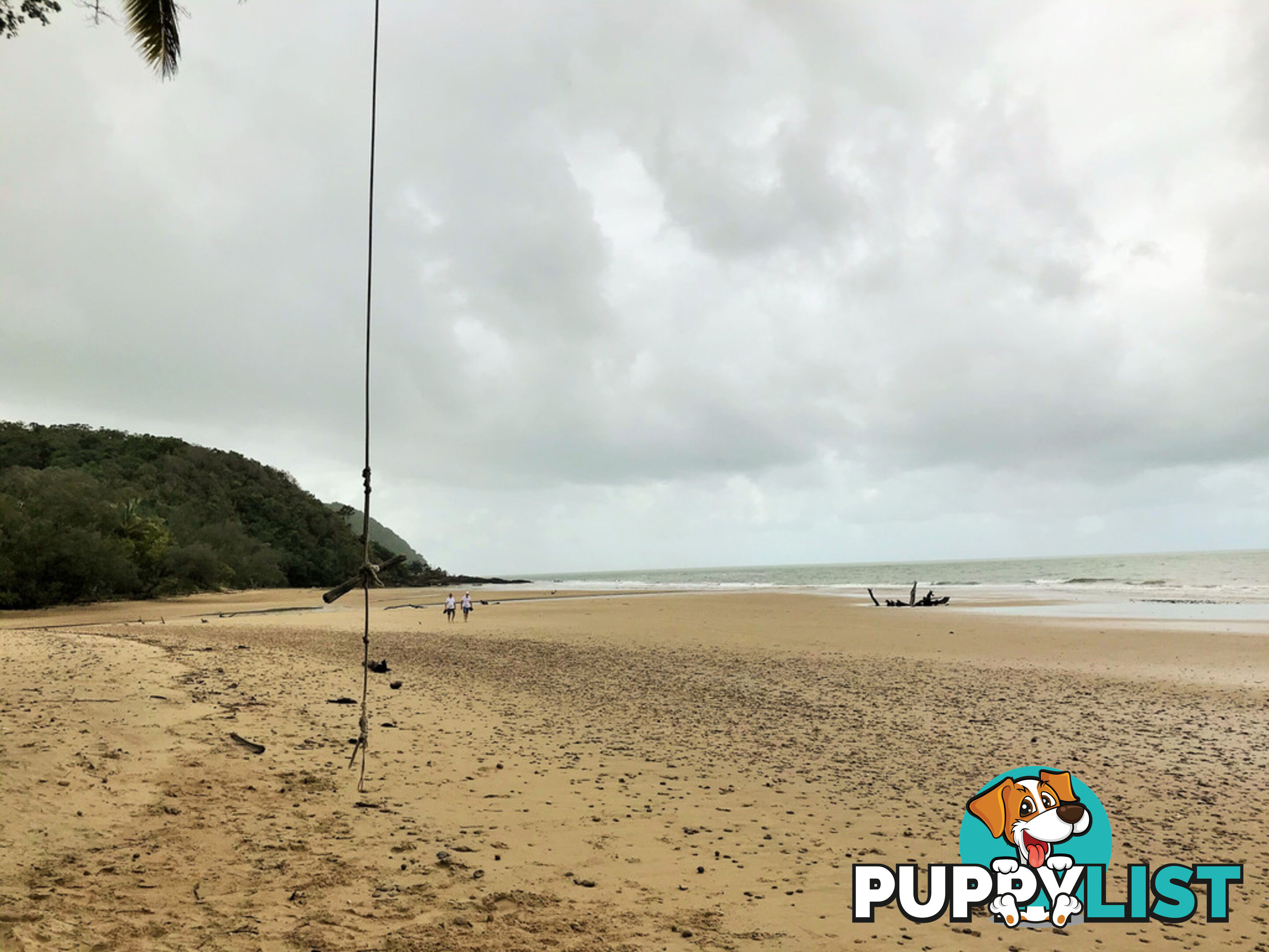 Lot 176 Quandong Road, Cow Bay DAINTREE QLD 4873