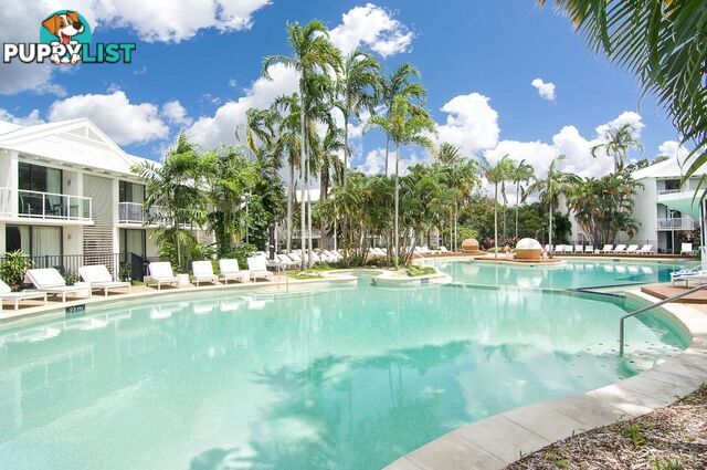 5002/87-109 Port Douglas Road PORT DOUGLAS QLD 4877