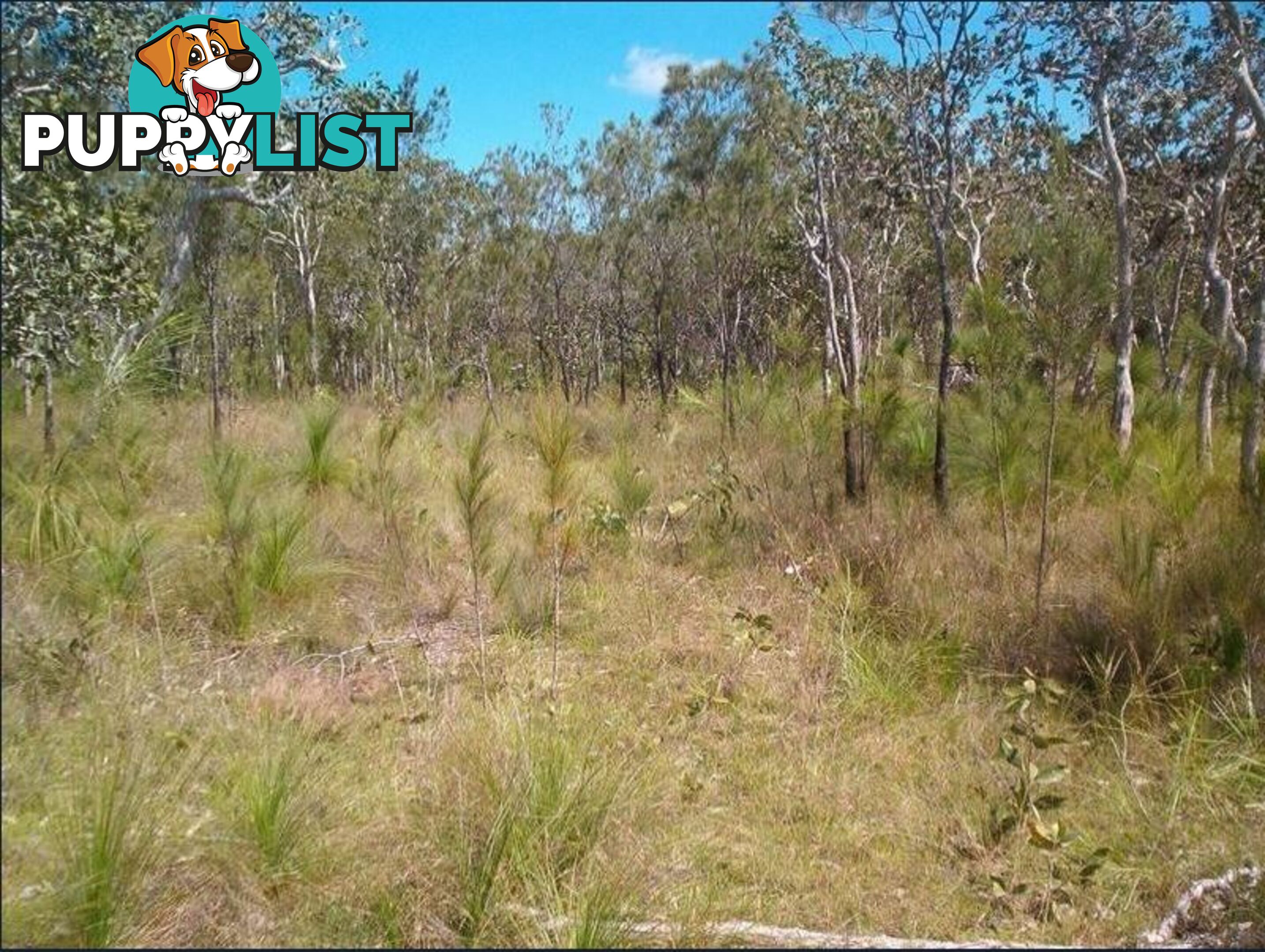 Lot 3 Euluma Creek Road JULATTEN QLD 4871