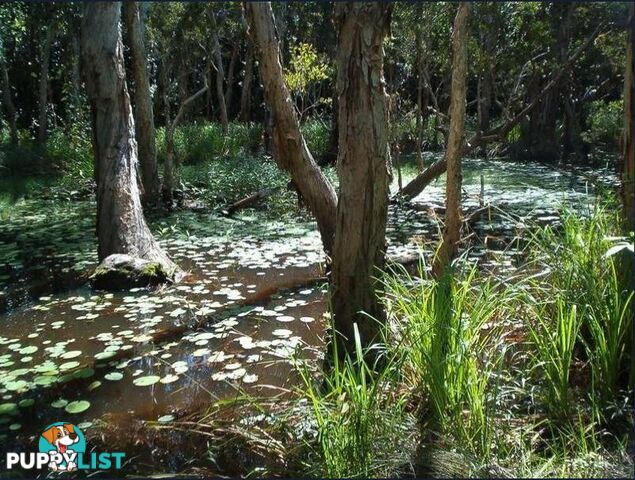 Lot 3 Euluma Creek Road JULATTEN QLD 4871