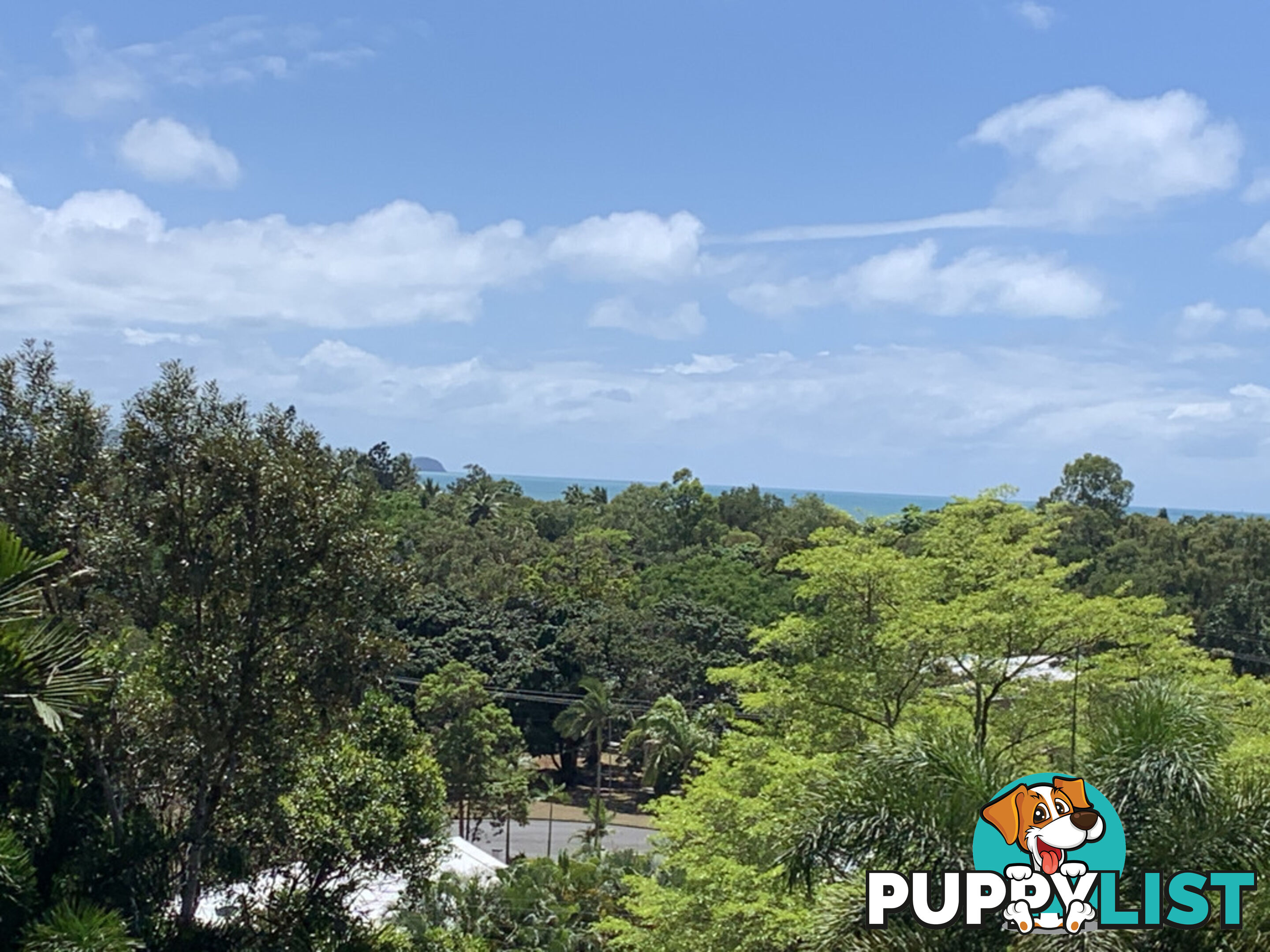 1549 Mossman Daintree Road WONGA BEACH QLD 4873