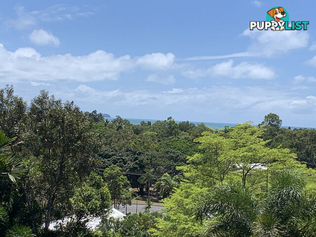 1549 Mossman Daintree Road WONGA BEACH QLD 4873