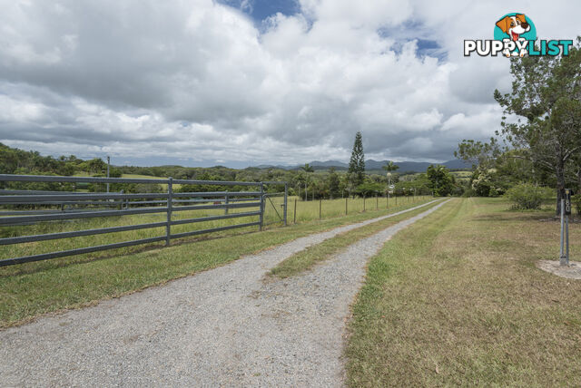 180 Euluma Creek Road JULATTEN QLD 4871