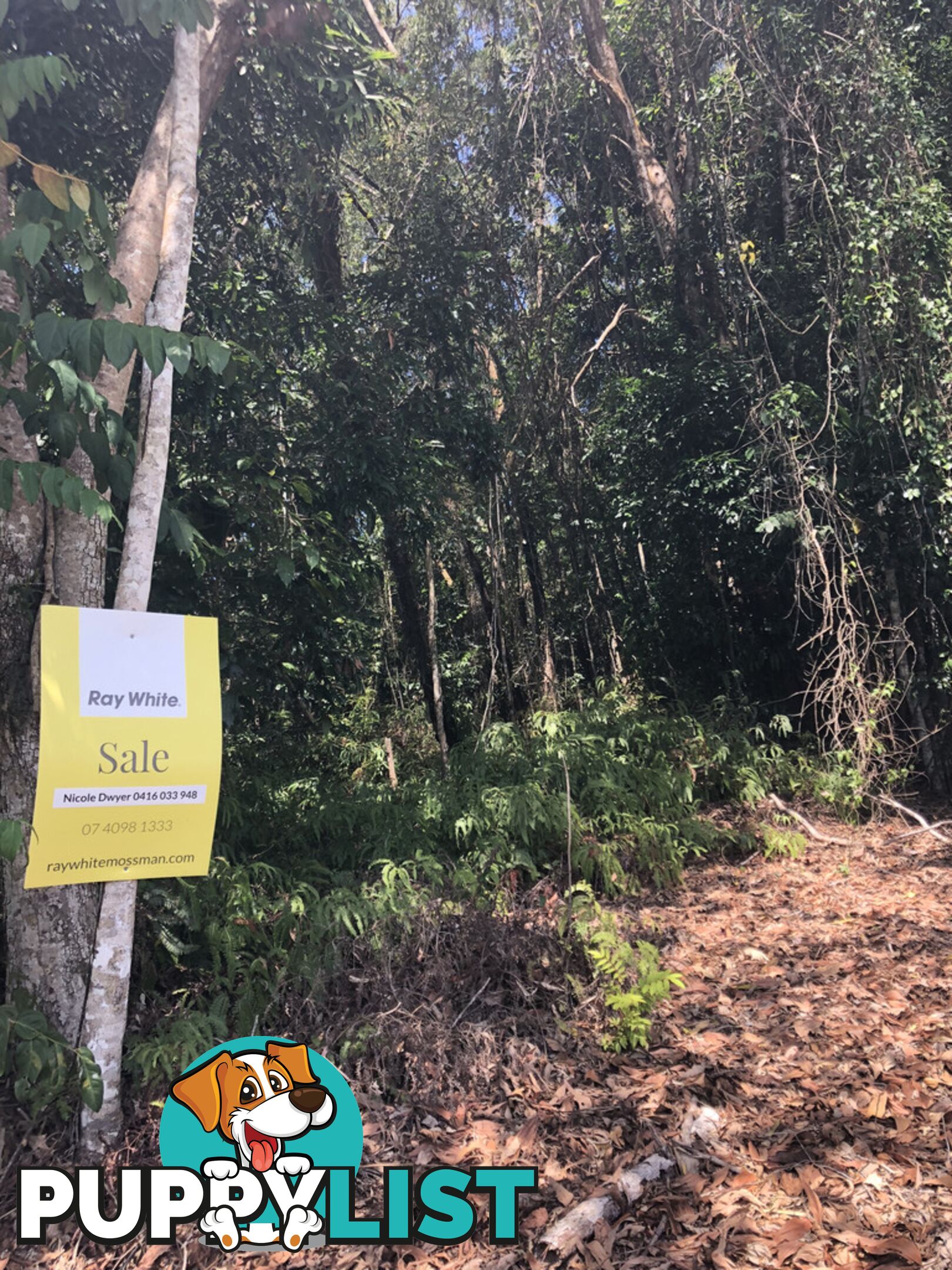 Lot 3 Bamboo Creek Road BAMBOO QLD 4873