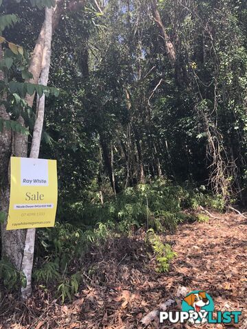 Lot 3 Bamboo Creek Road BAMBOO QLD 4873