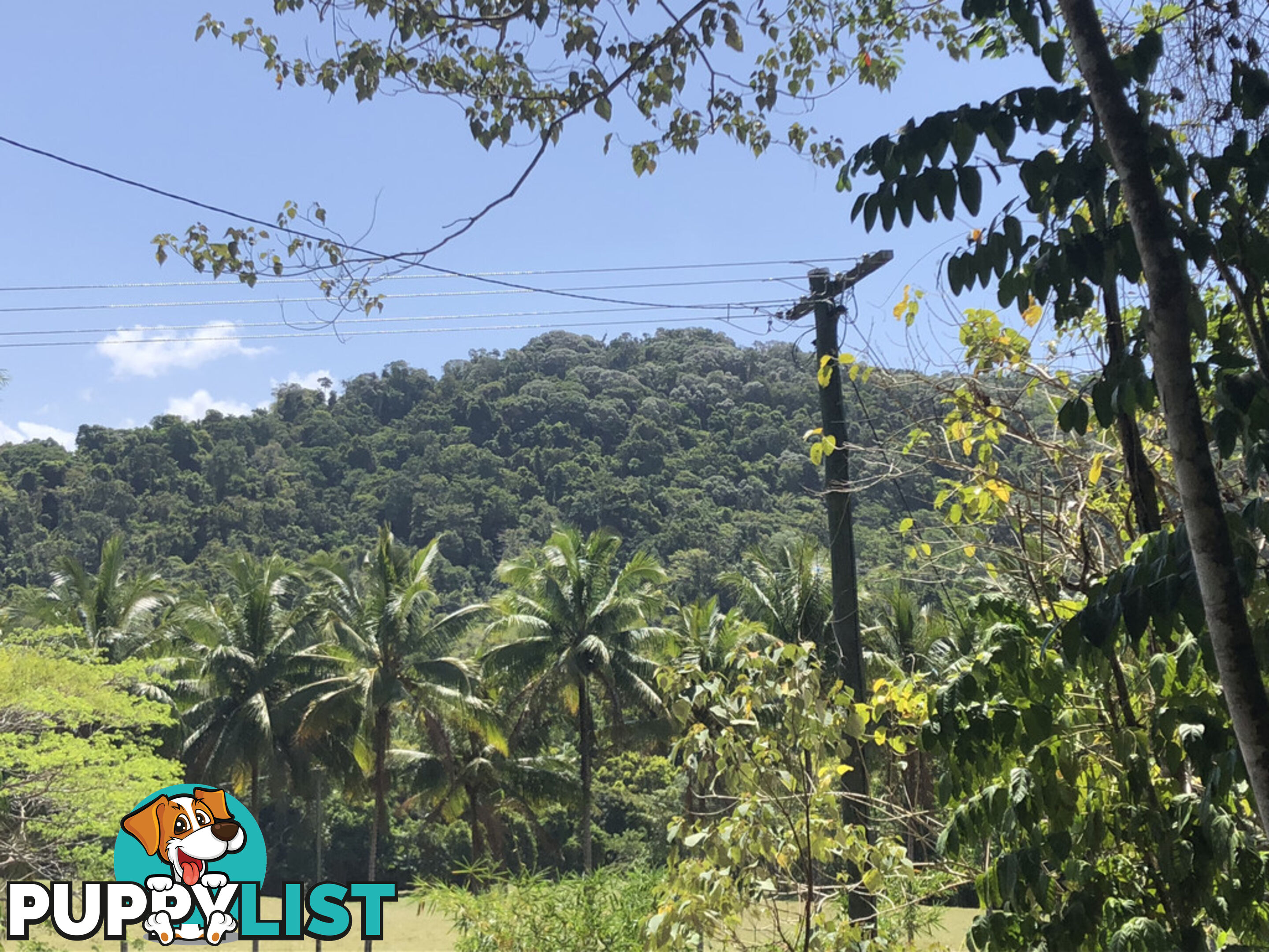 Lot 3 Bamboo Creek Road BAMBOO QLD 4873