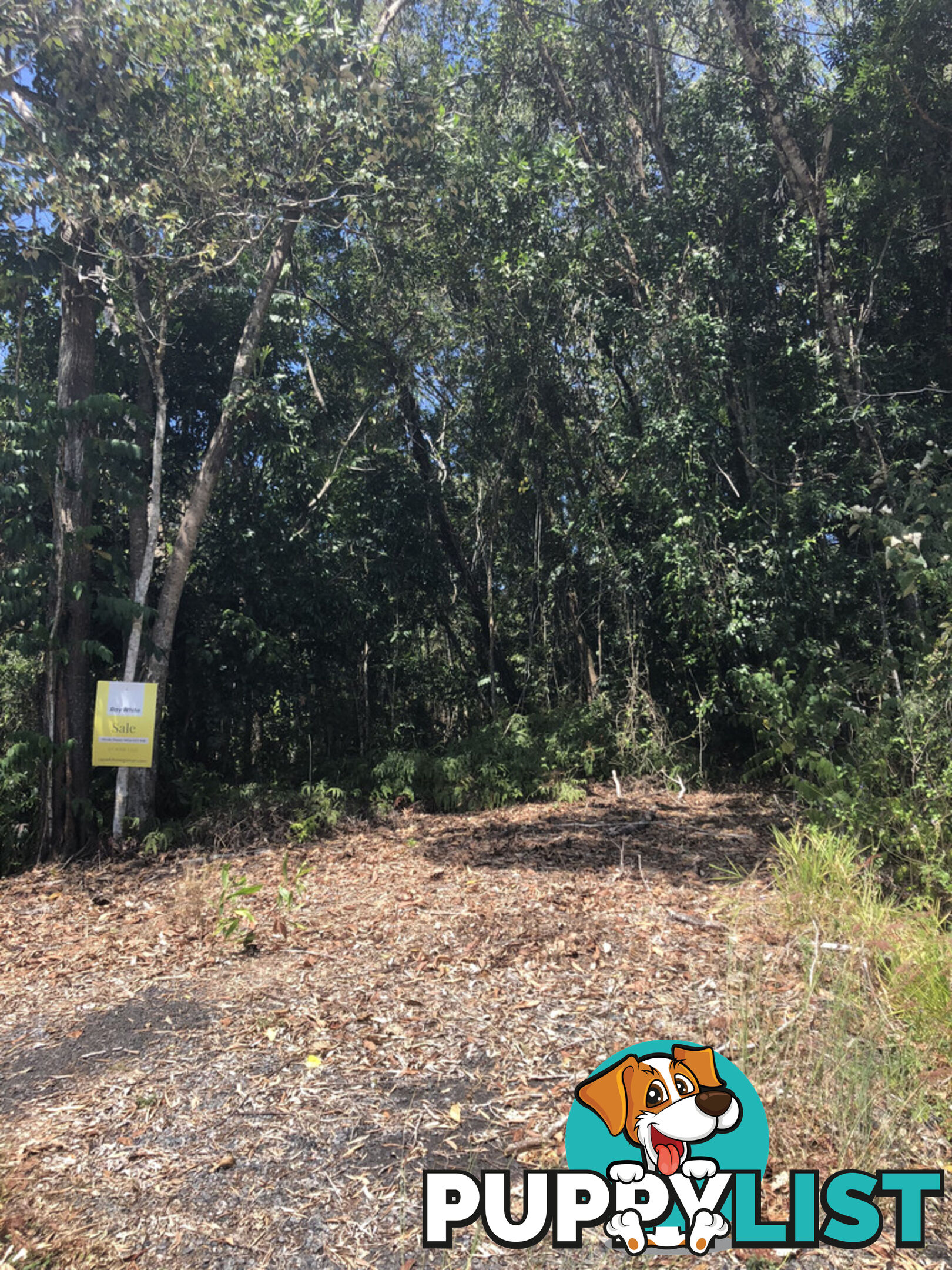 Lot 3 Bamboo Creek Road BAMBOO QLD 4873