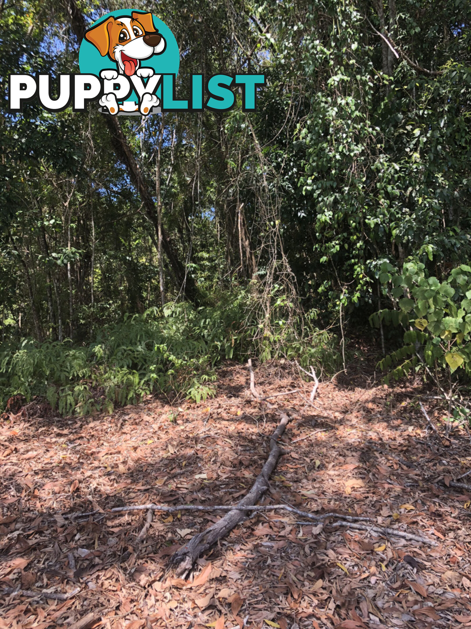 Lot 3 Bamboo Creek Road BAMBOO QLD 4873