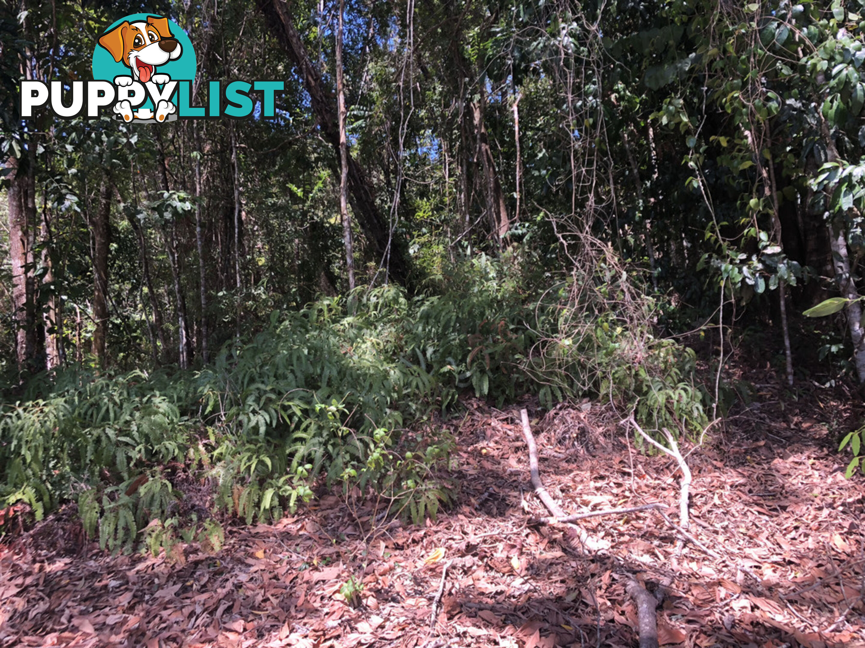 Lot 3 Bamboo Creek Road BAMBOO QLD 4873