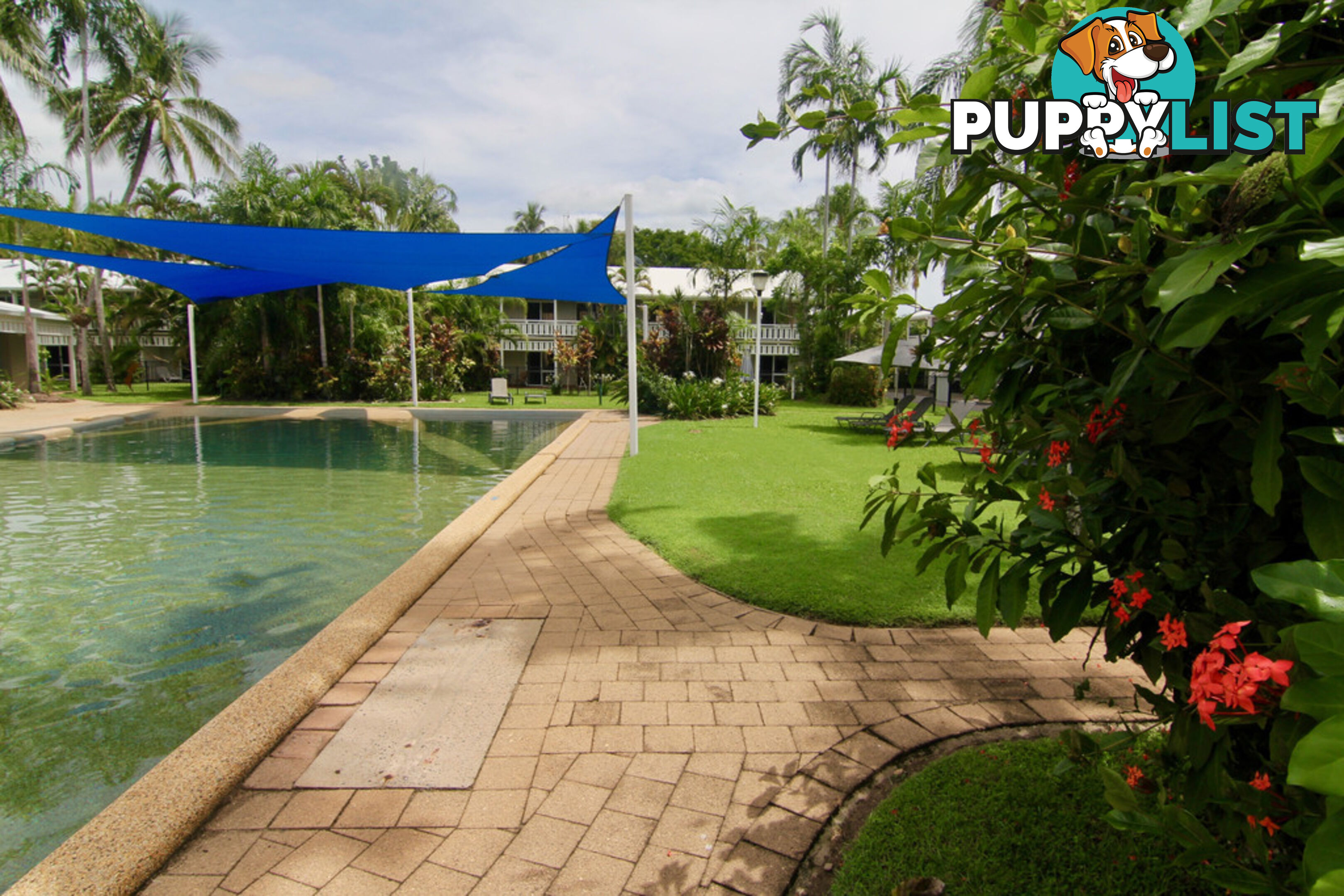 34/29-31 Nautilus Street PORT DOUGLAS QLD 4877