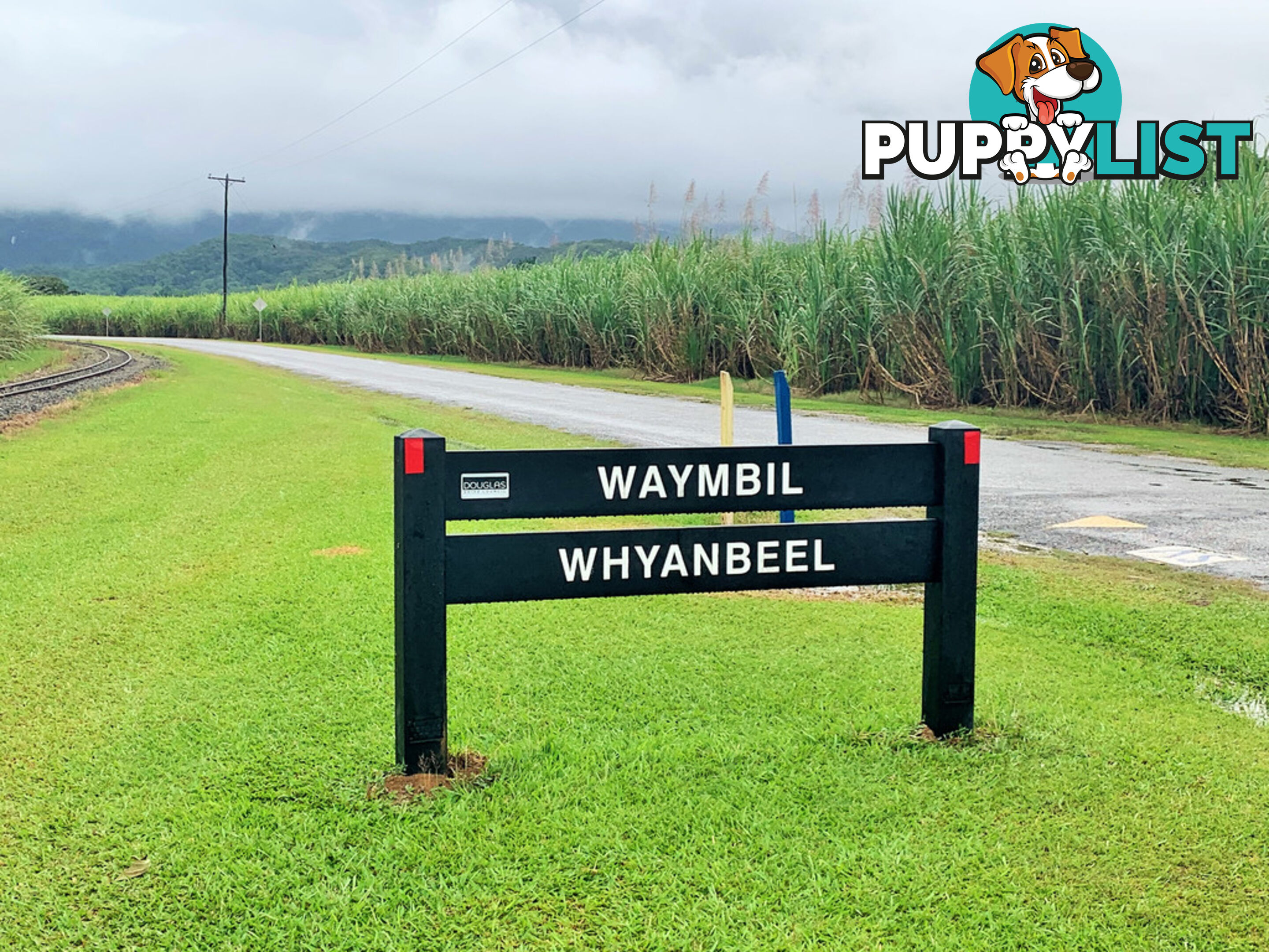 Lot 15 Whyanbeel Road WHYANBEEL QLD 4873