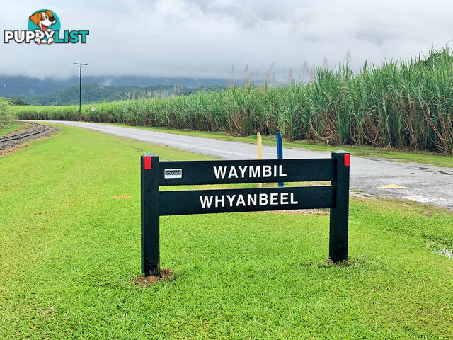 Lot 15 Whyanbeel Road WHYANBEEL QLD 4873