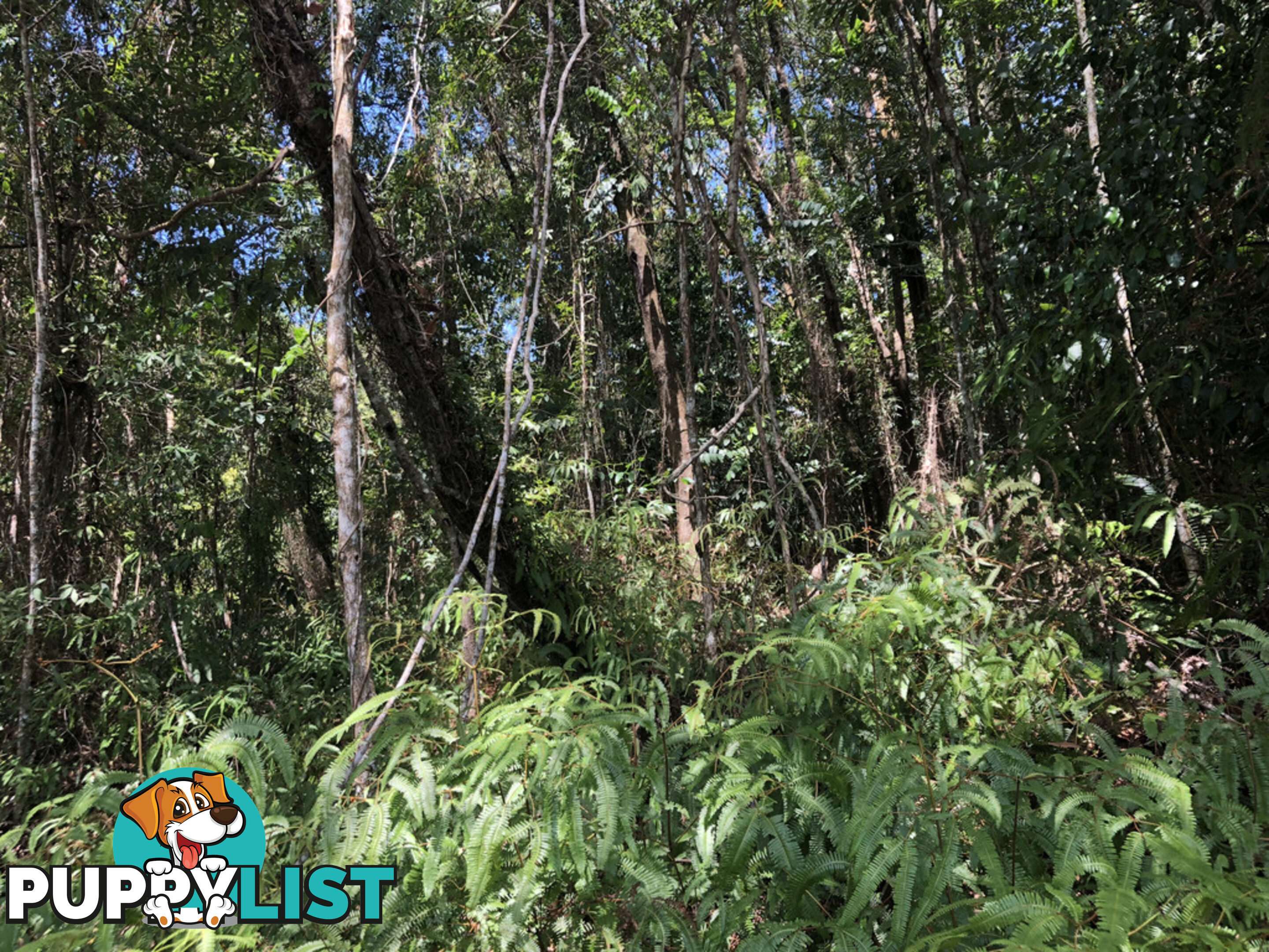 Lot 3 Bamboo Creek Road BAMBOO QLD 4873