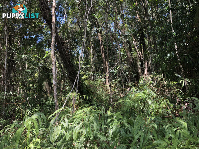 Lot 3 Bamboo Creek Road BAMBOO QLD 4873