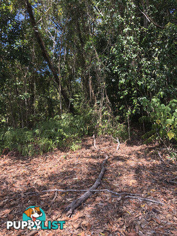 Lot 3 Bamboo Creek Road BAMBOO QLD 4873