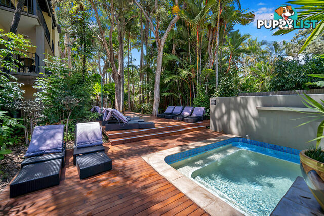 16/62-64 Davidson Street PORT DOUGLAS QLD 4877