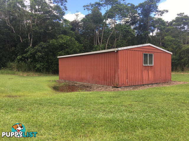 1734 Mossman-Mt Molloy Road JULATTEN QLD 4871