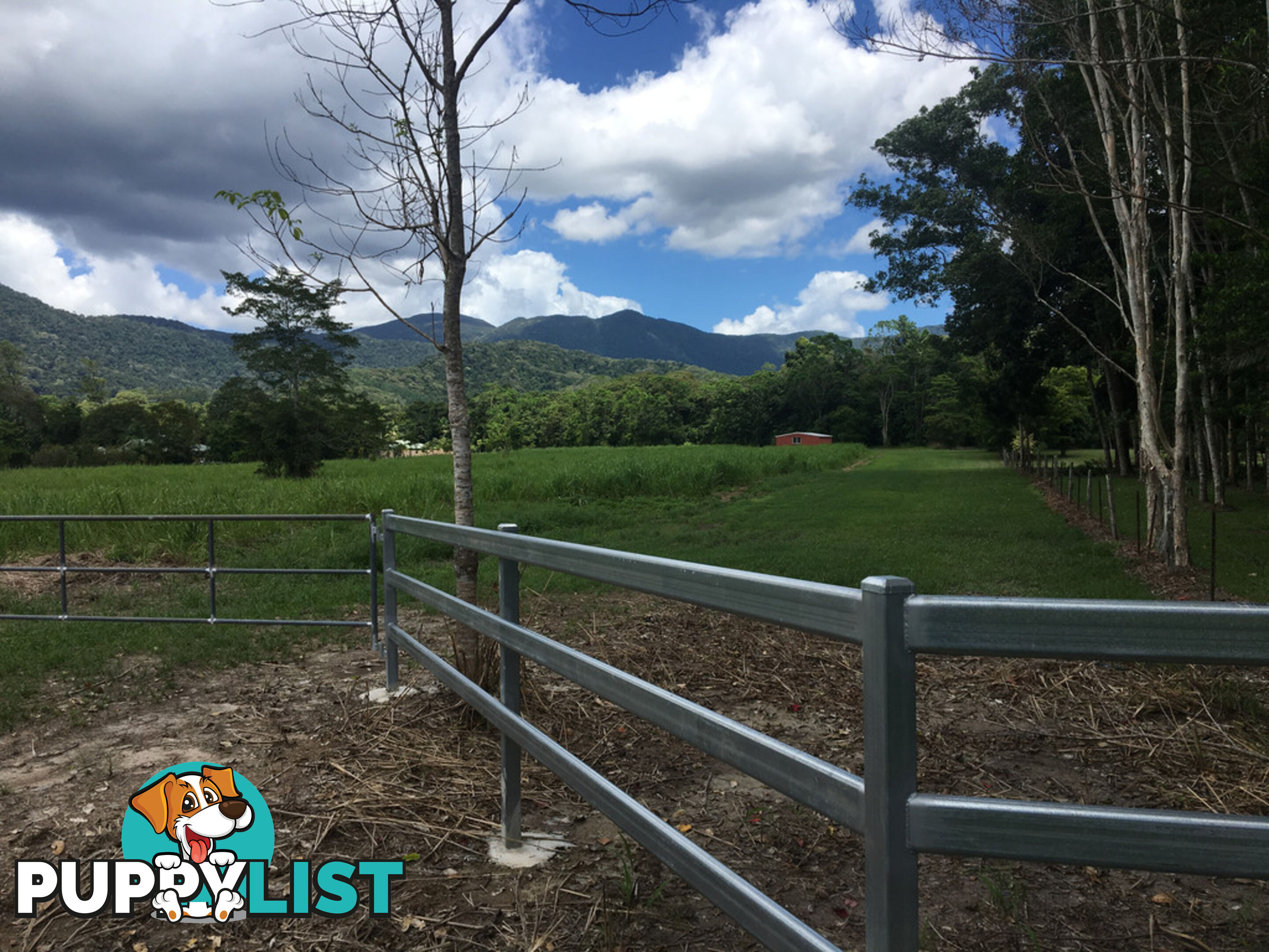 1734 Mossman-Mt Molloy Road JULATTEN QLD 4871