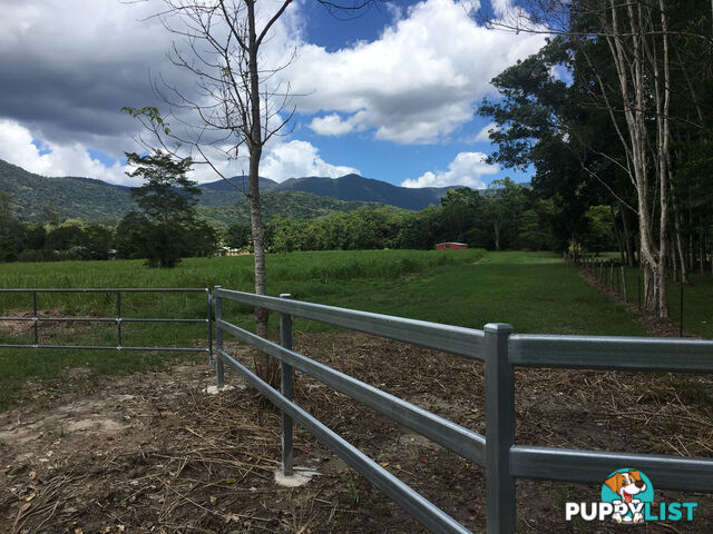 1734 Mossman-Mt Molloy Road JULATTEN QLD 4871