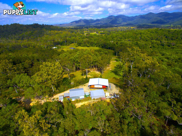 888 Euluma Creek Road JULATTEN QLD 4871