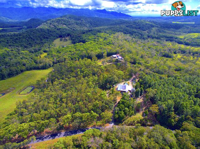 888 Euluma Creek Road JULATTEN QLD 4871