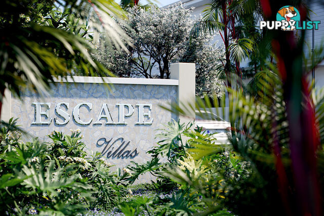 9 & 10/4-10 Escape Street, Escape Villas PORT DOUGLAS QLD 4877