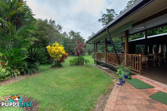 152 Old Forestry Road WHYANBEEL QLD 4873