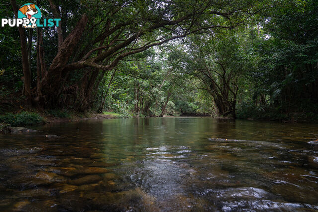 152 Old Forestry Road WHYANBEEL QLD 4873