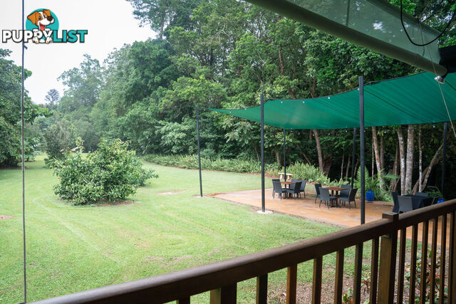 152 Old Forestry Road WHYANBEEL QLD 4873