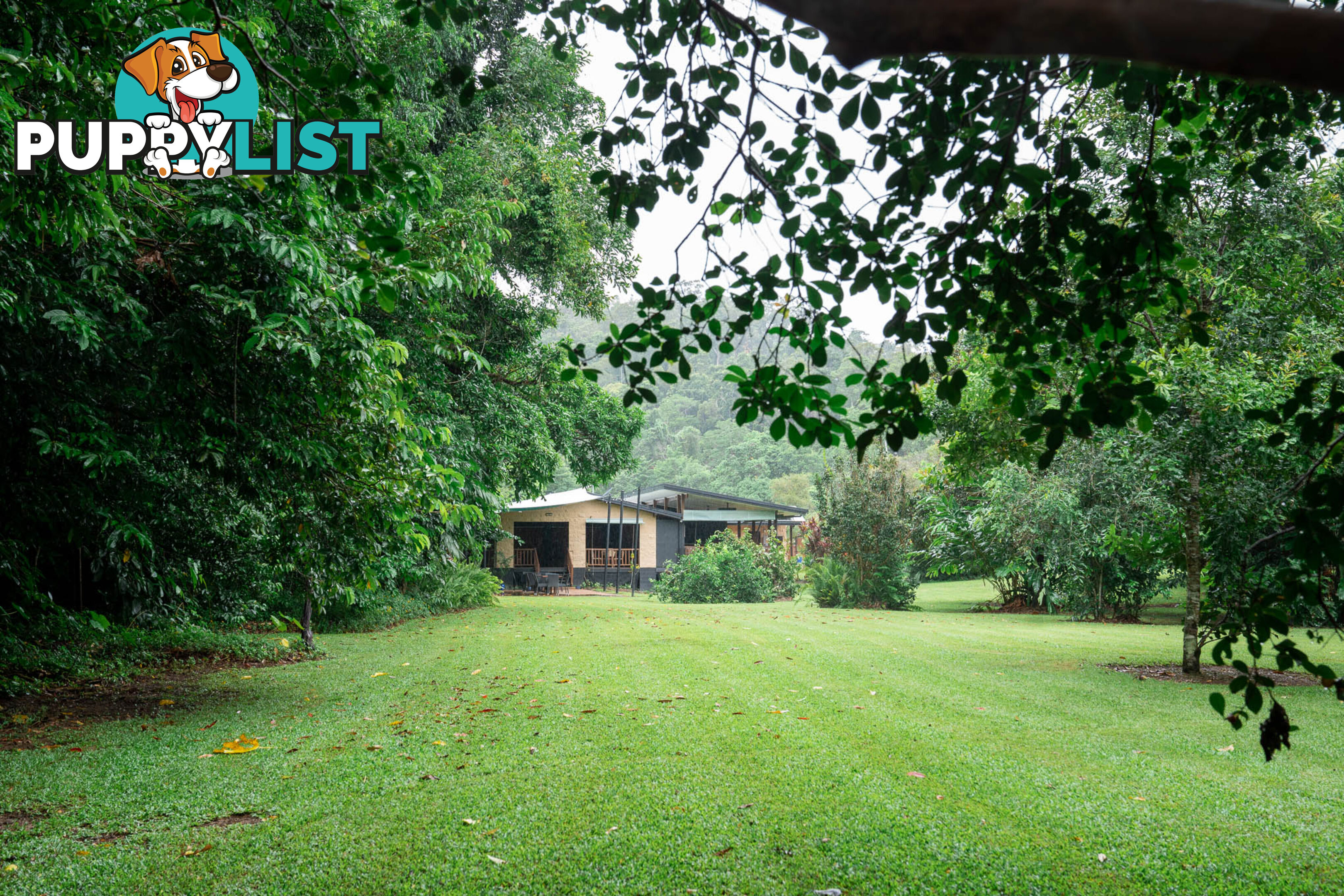 152 Old Forestry Road WHYANBEEL QLD 4873