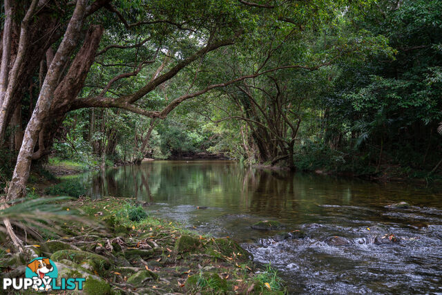 152 Old Forestry Road WHYANBEEL QLD 4873