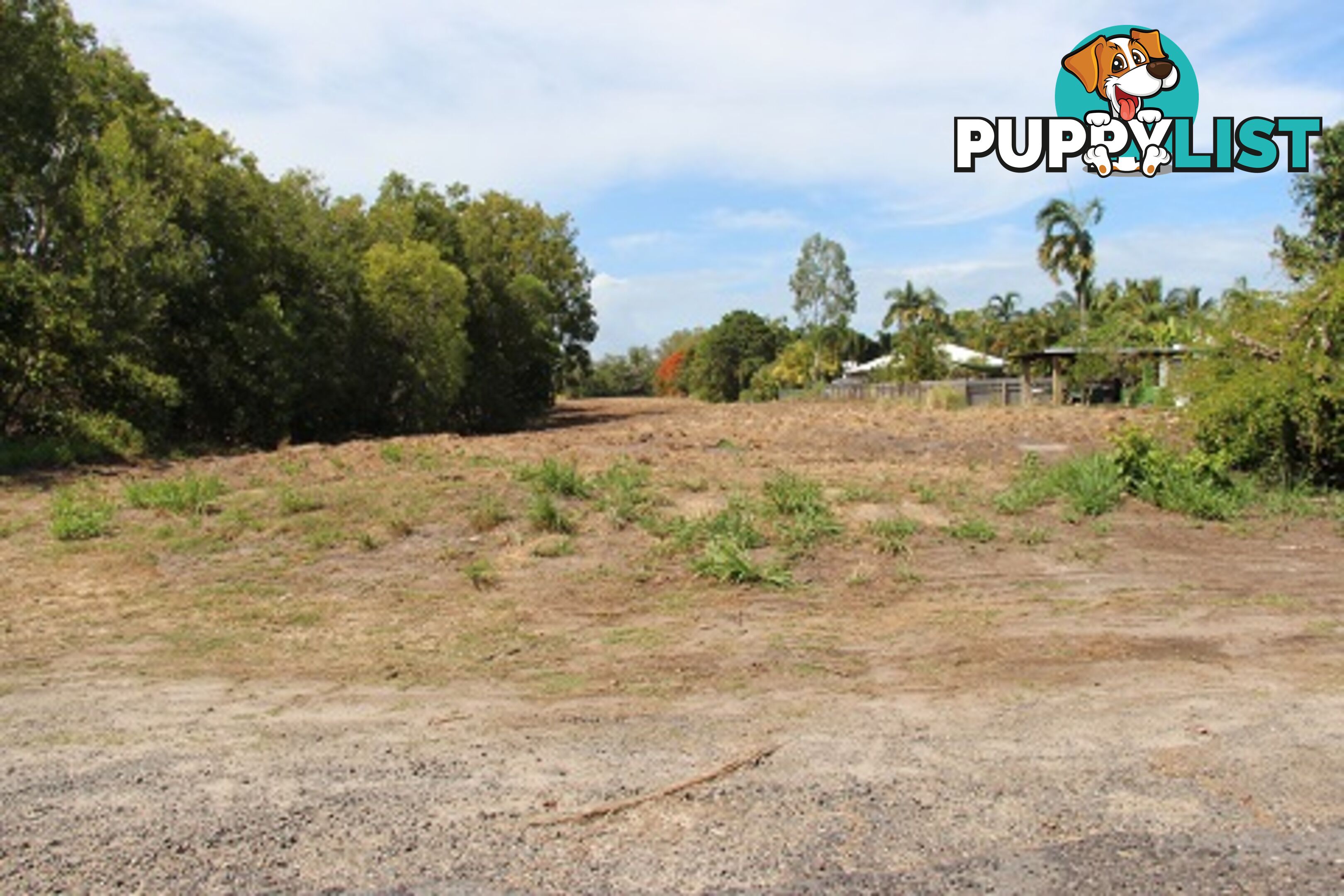 Lot 12 Palm Street COOYA BEACH QLD 4873