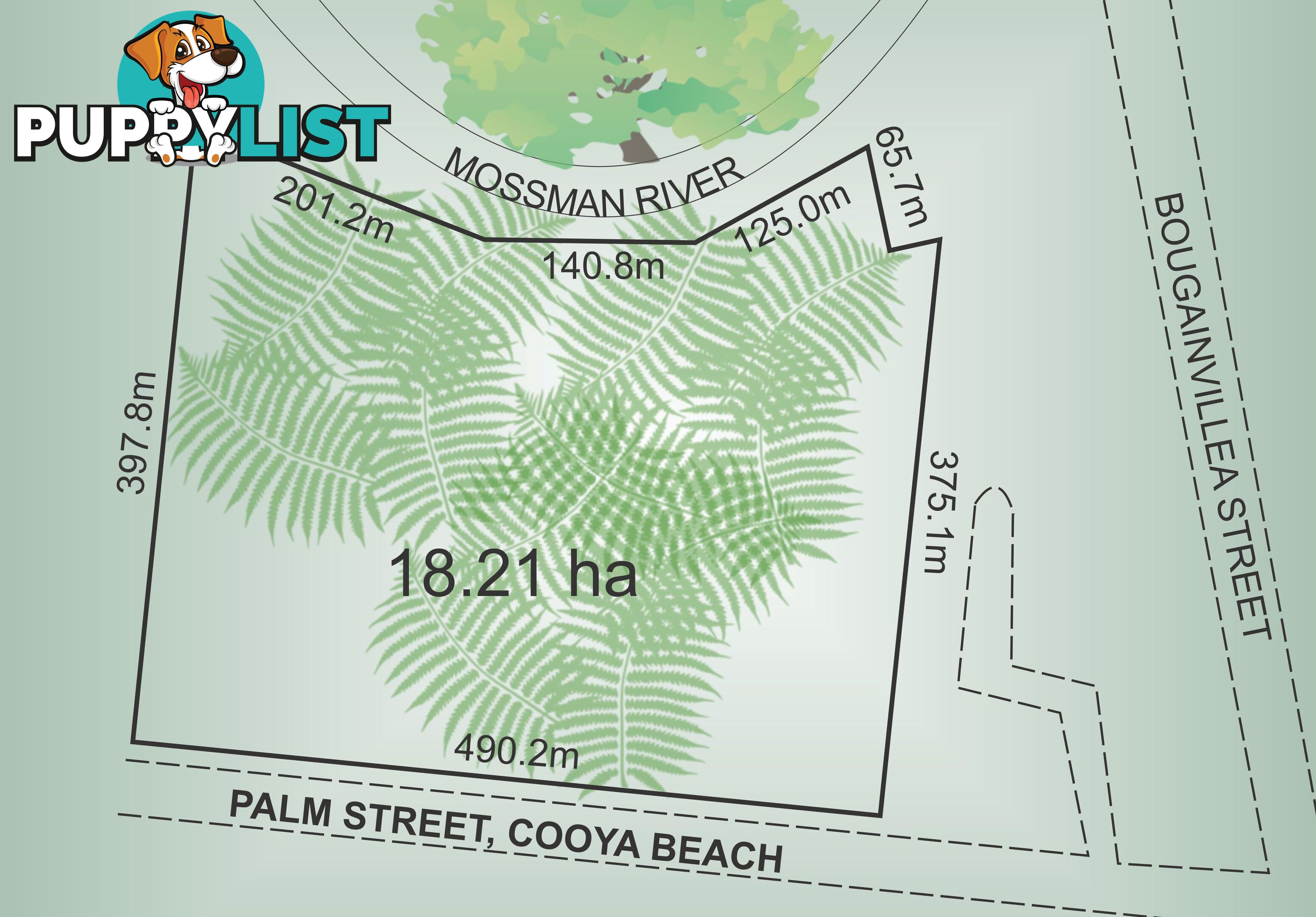 Lot 12 Palm Street COOYA BEACH QLD 4873