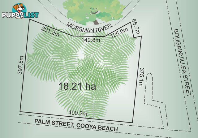 Lot 12 Palm Street COOYA BEACH QLD 4873