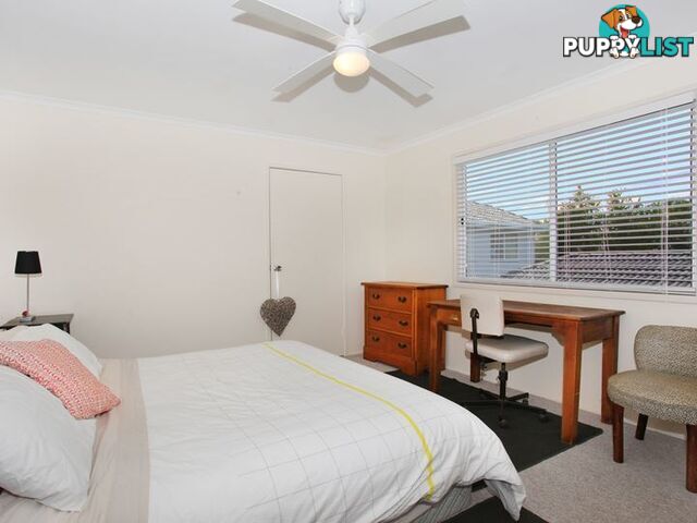 Unit 2 3 Aragorn St Maroochydore QLD 4558