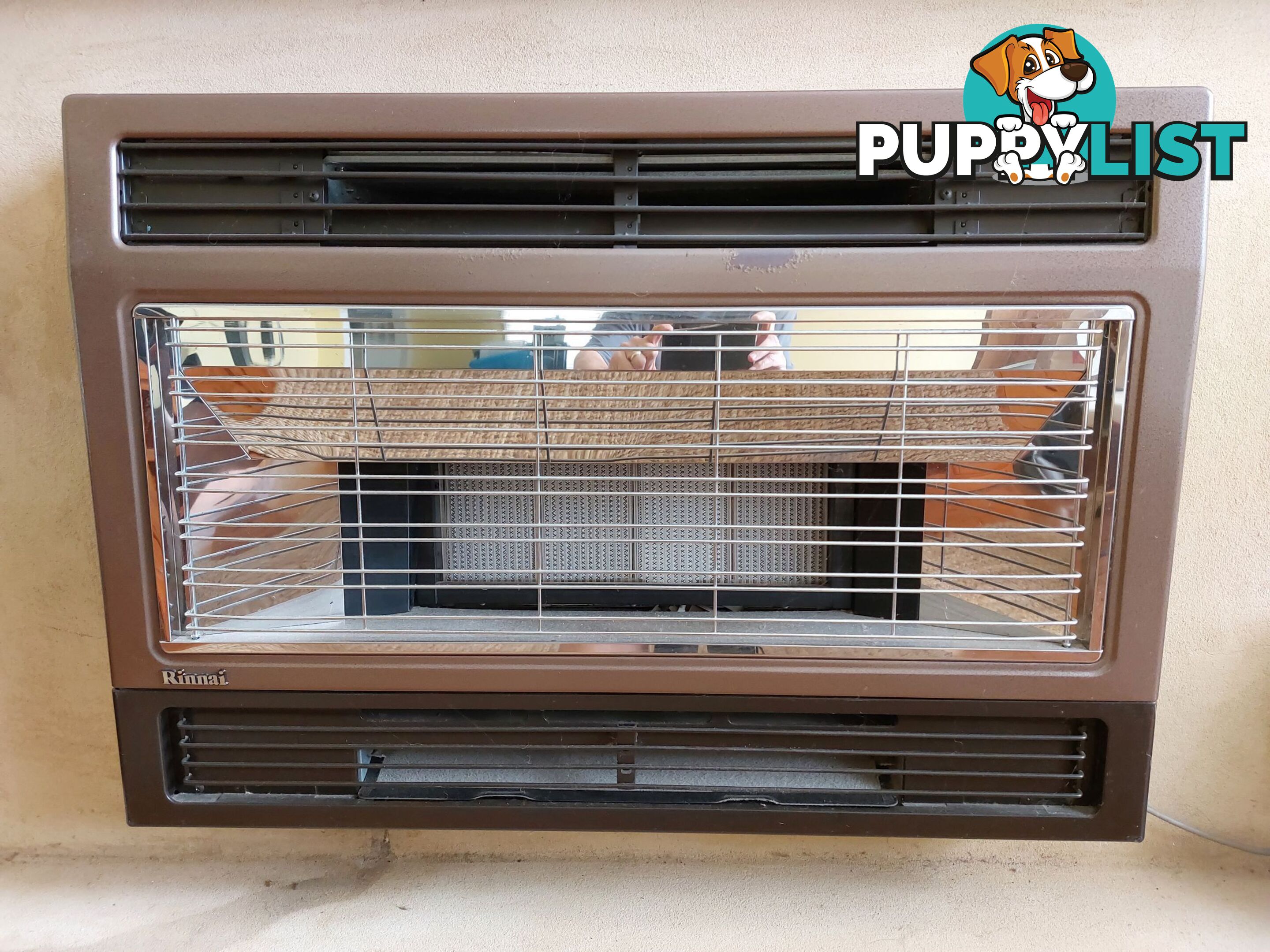 Rinnai flued gas heater