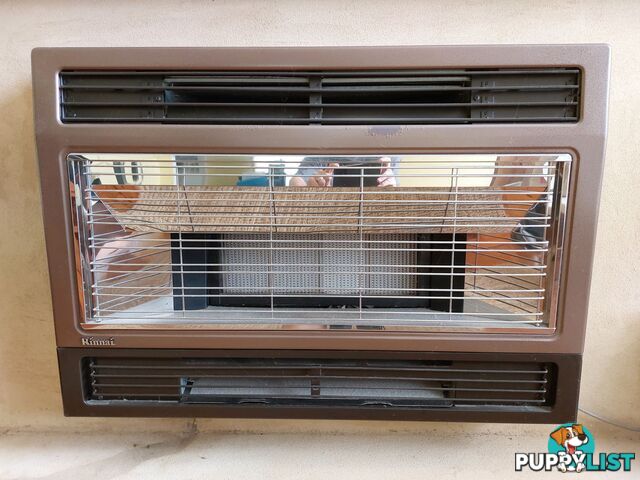 Rinnai flued gas heater