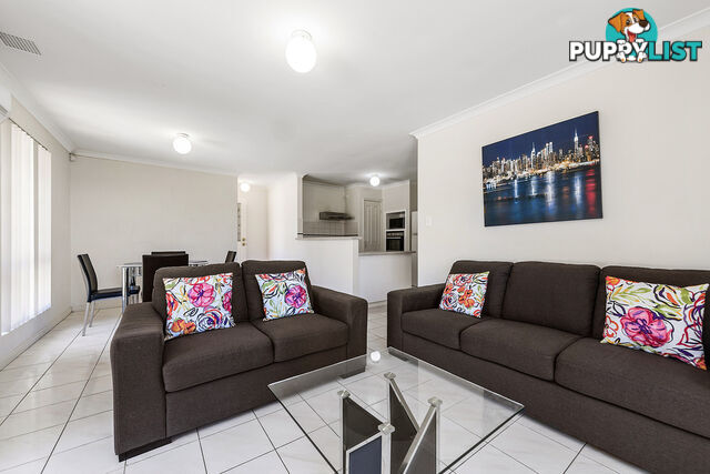 22c McKay Street BENTLEY WA 6102