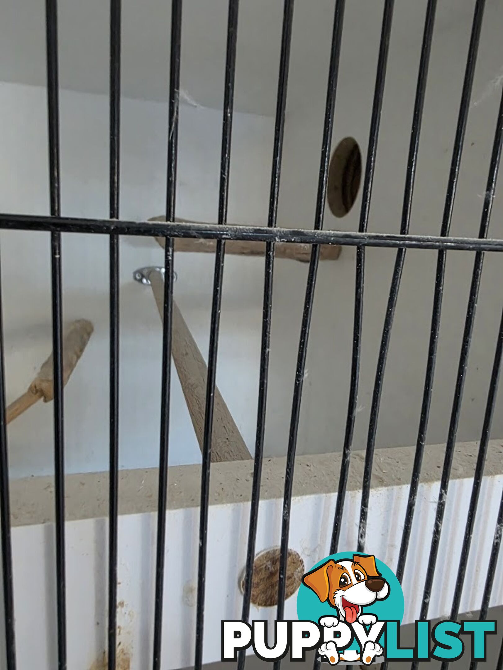 Bird Breeding Cabinets with Nest Box for small Parrots