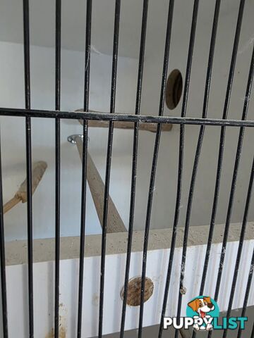 Bird Breeding Cabinets with Nest Box for small Parrots