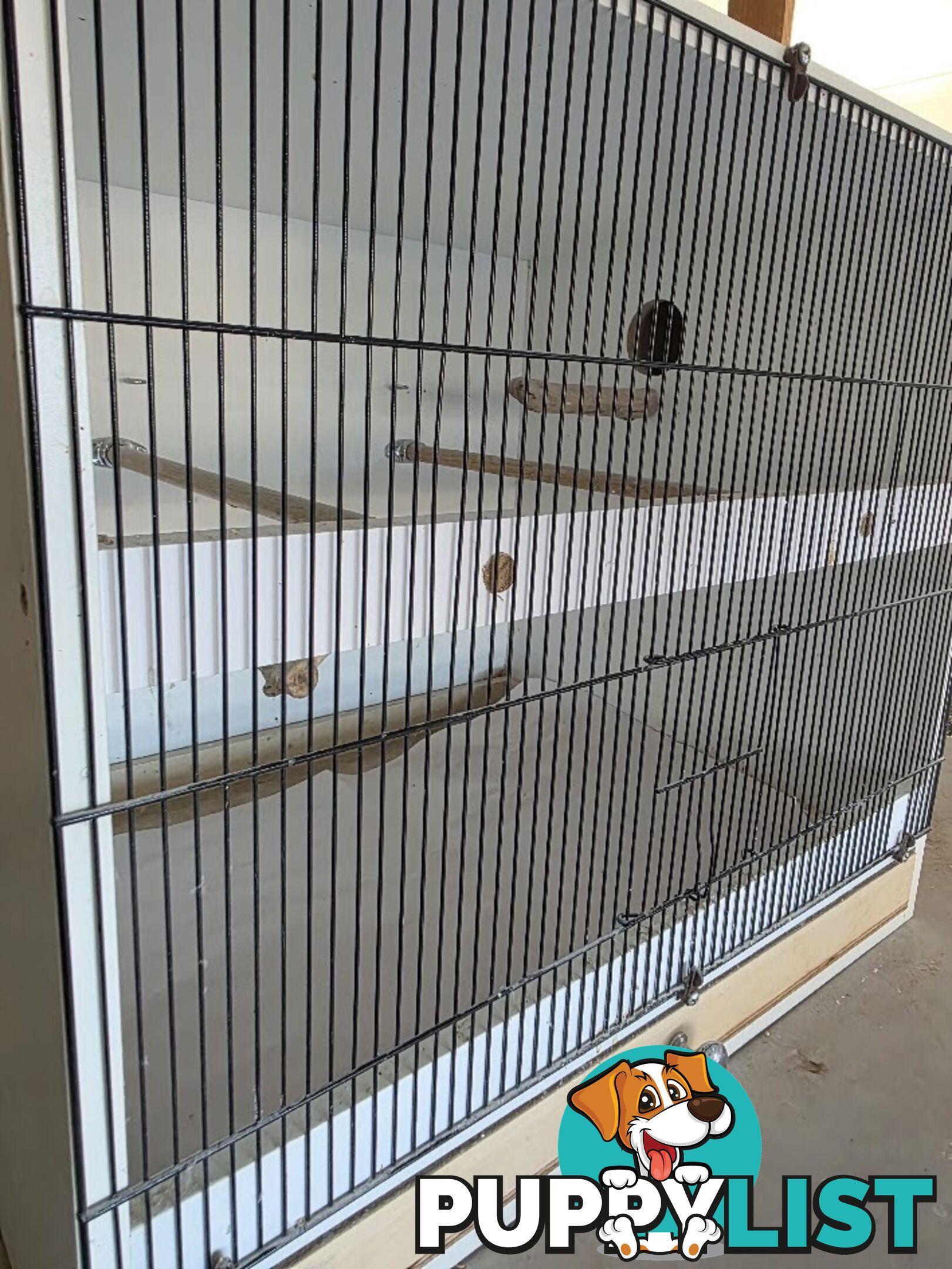 Bird Breeding Cabinets with Nest Box for small Parrots