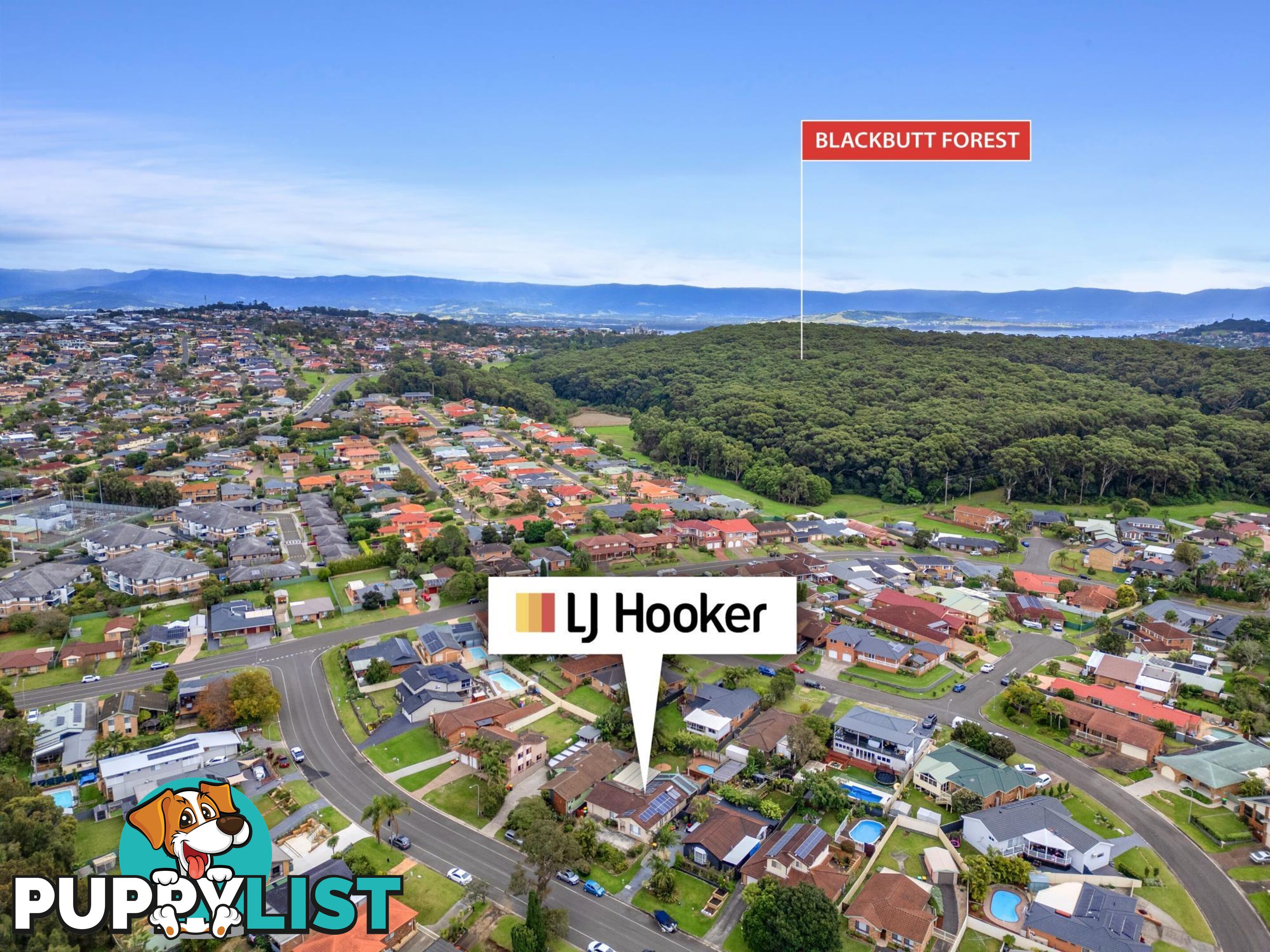 80 Ocean Beach Drive SHELLHARBOUR NSW 2529